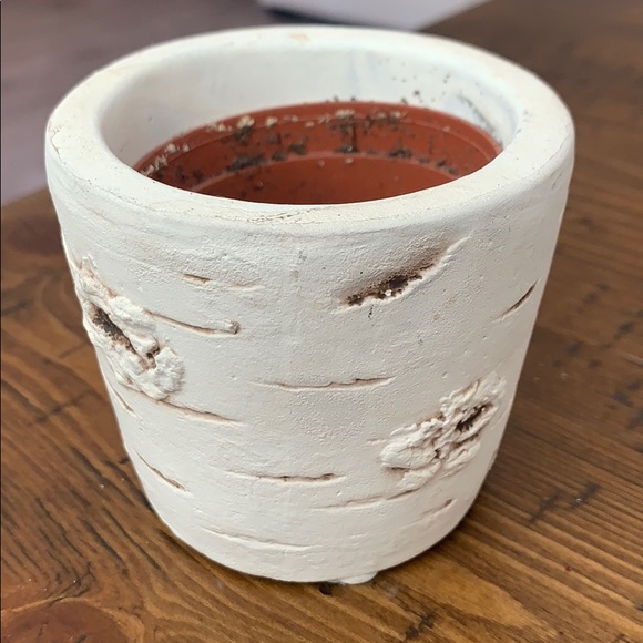 Rustic succulent pots - Picture 2 of 3